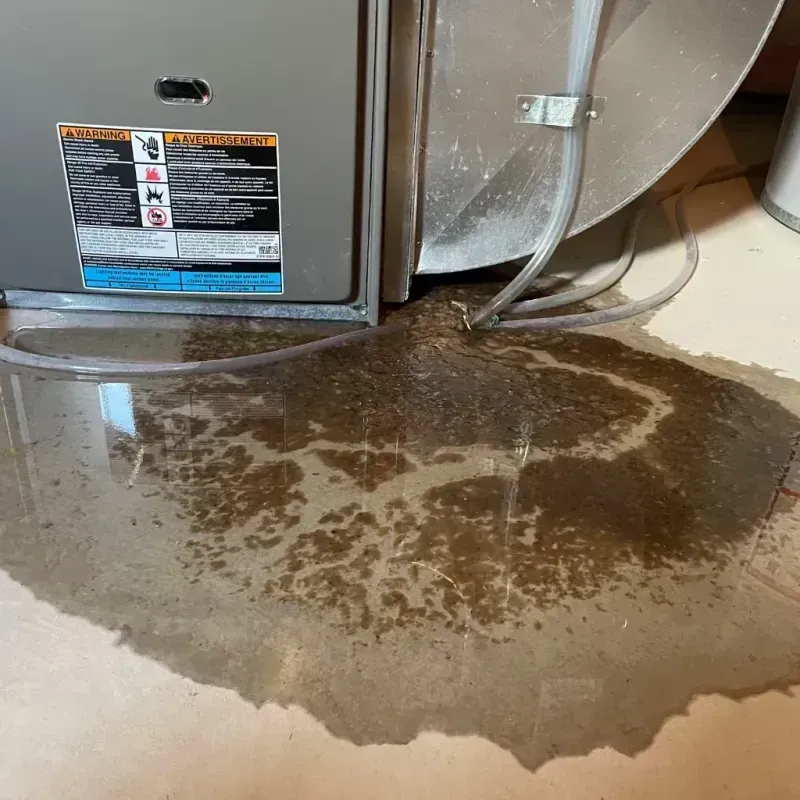 Appliance Leak Cleanup in Big Bend, WI